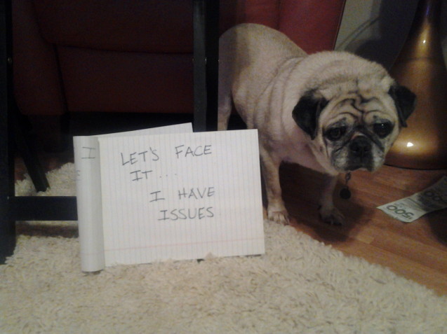 dogshaming:  I Only Look Pathetic  I hide instead of going outside. I hide when