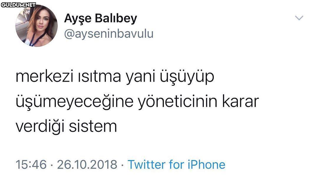 Ayşe Balıbey...