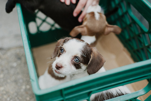 convexly:  .6166 by hildagrahnat on Flickr.awe!!!