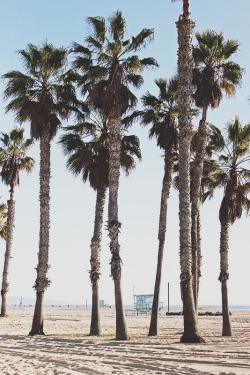 amandafiske:  Santa Monica on Flickr. 