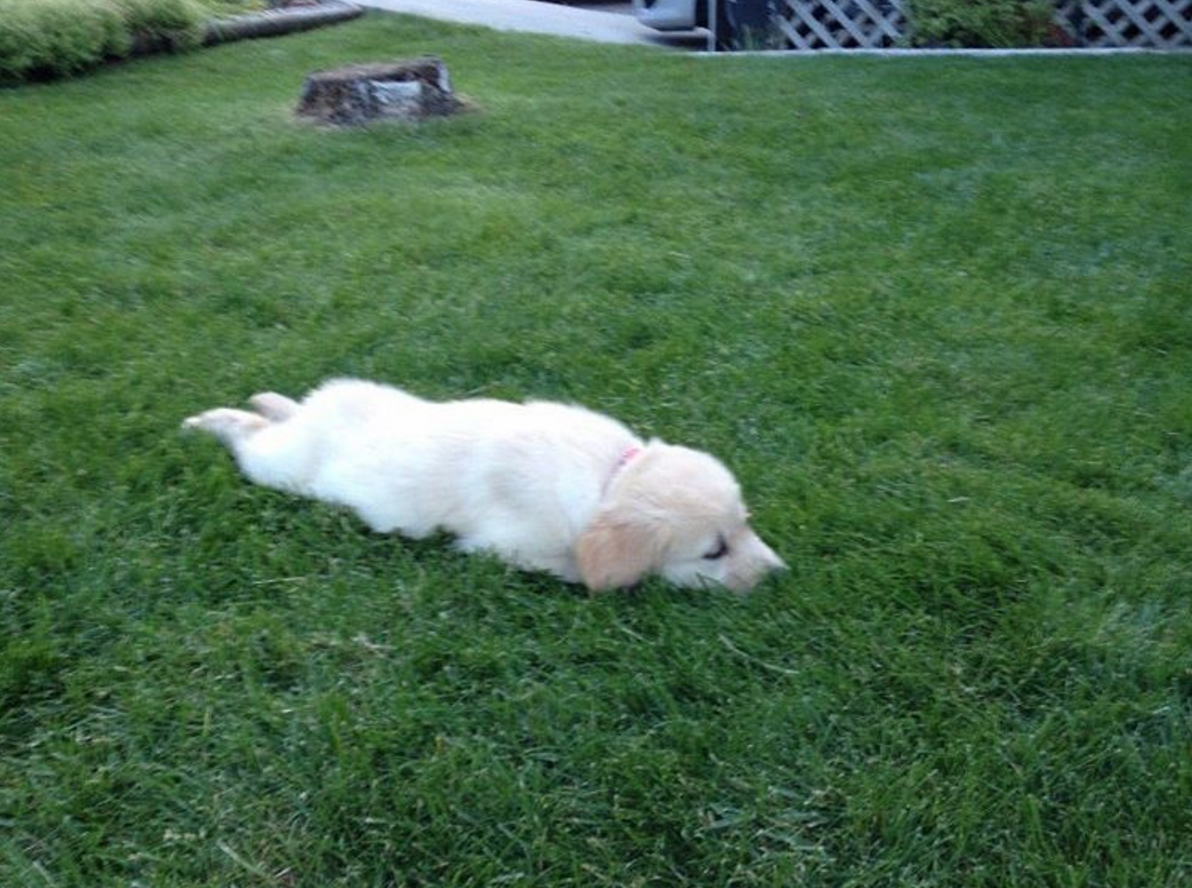 animalrates:  more animals rated here