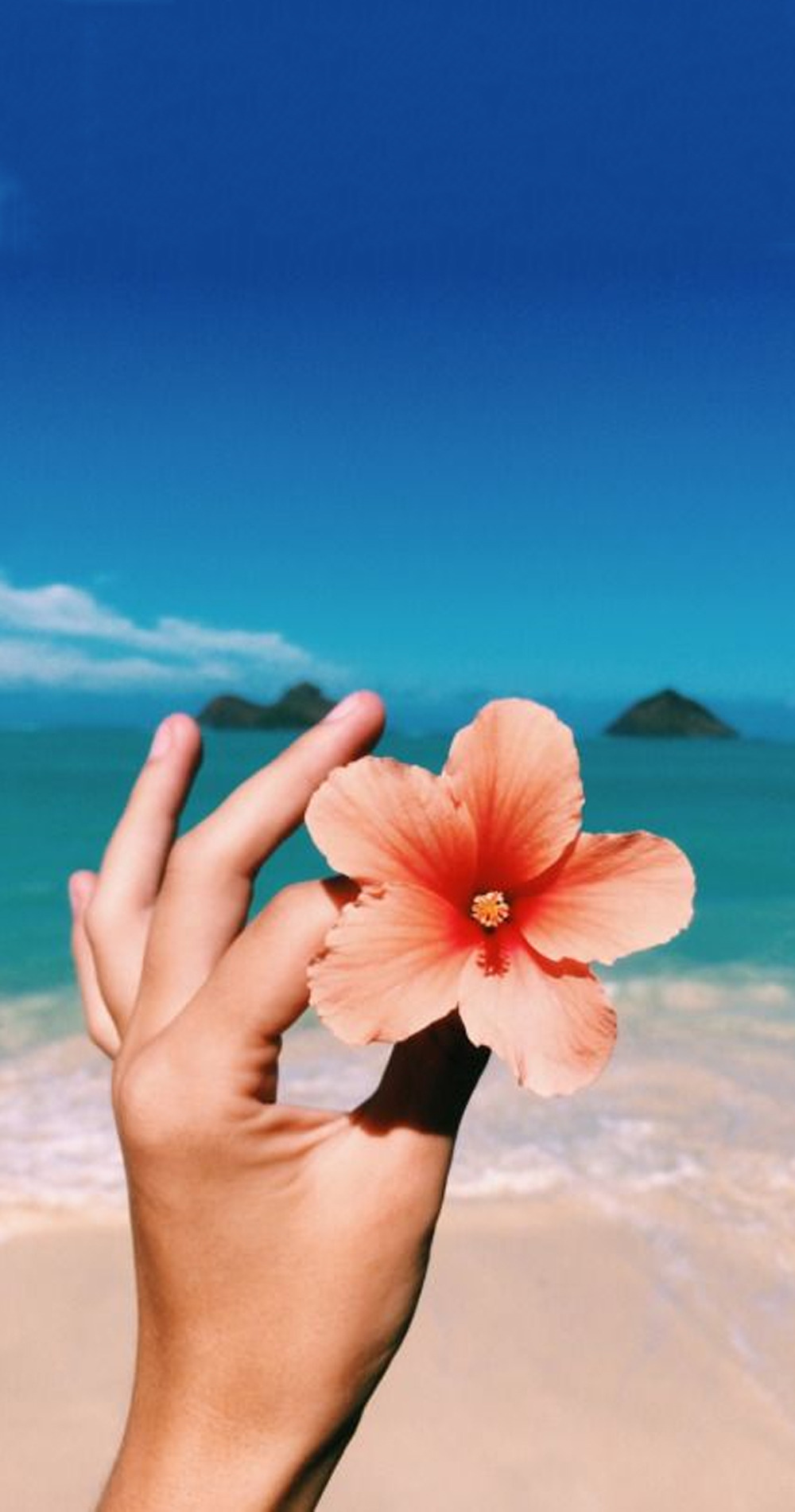 Wallpapers — Tropical flower wallpapers! Please like or reblog...