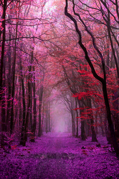 earthdaily:  earthdaily: Sulky Saturday by tvurk 