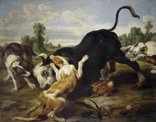 Bull Subdued by Dogs, Paul de Vos, 1638-40