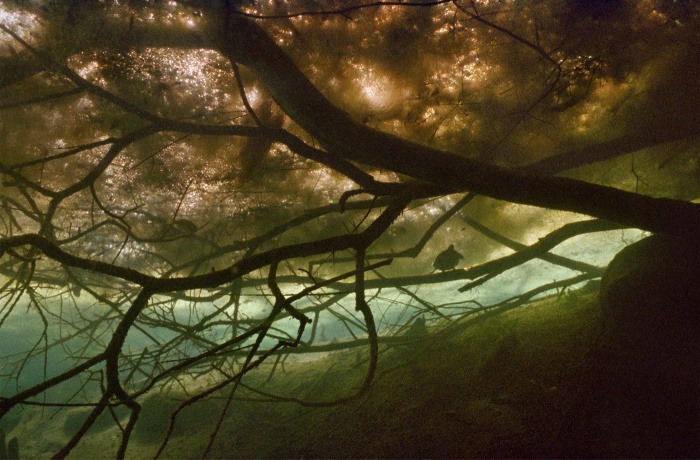 jedavu:  Mysterious Underwater Photos from Florida and Beyond by underwater photographer