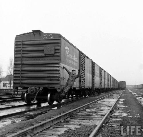 New York Central Pacemaker Freight Service(Thomas McAvoy. 1950)