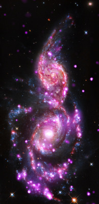 astronomicalwonders:  Merging Galaxies Bursting With Light - NGC 2207 and IC 2163 Just like our Milky Way galaxy, NGC 2207 and IC 2163 are sprinkled with many star systems known as X-ray binaries, which consist of a star in a tight orbit around either