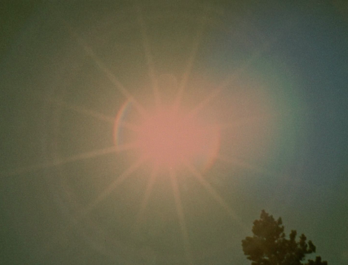 365filmsbyauroranocte: Star Garden (Stan Brakhage, 1974)