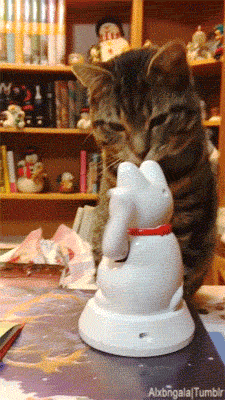 alxbngala:  Maneki-Neko High Five [X] 