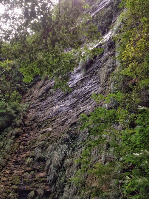 theeyeoftroy: It’s actually a waterfall. This is Edith waterfall is Chaguaramas, Trinidad. It has si