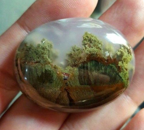 sixpenceee: Moss Agate looks like it has a forest inside. (Source)