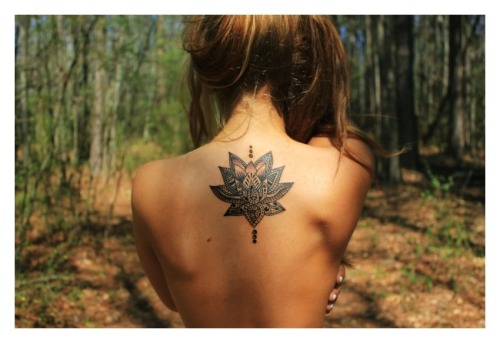 lotus flower