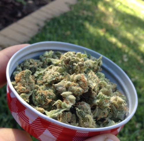 666-Grams
