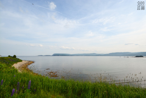 More Cabot Trail bits - Cape Breton, Nova Scotia.