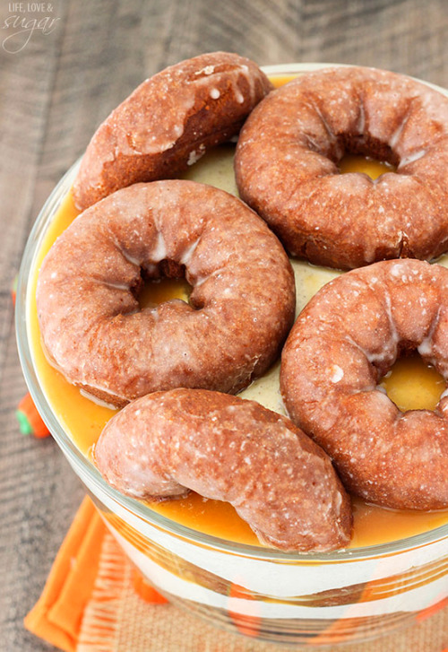 delicious-food-porn:  Pumpkin Pie Spice Donut Cheesecake Trifle