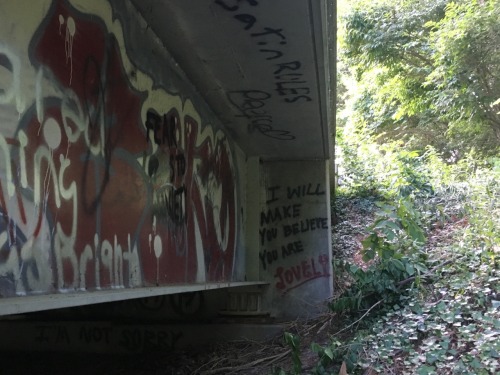 lilcactusbby:I love finding really good graffiti and it’s even better when it’s Twenty One Pilots☺️❣