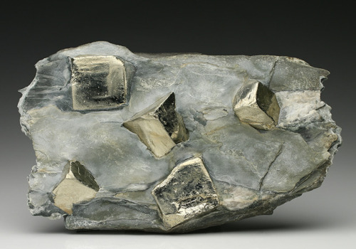 hematitehearts:Pyrite in SchistLocality: Virgin Valley, Austria.Size: 13.0 × 7.5 × 2.2 cm