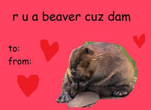 mr-fuckin-moseby:forever:  my new favorite holiday is valentines day bc of these being all over tumblr            Thank you for including me.