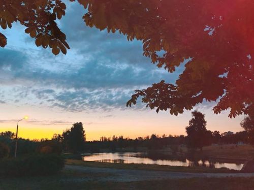 Chit-chat #belarus #minsk #evening #sun #sunset #park #nature #river #beauty #tree #reflection #walk