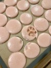 catasters: