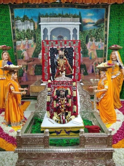 buzz-london:Shri Nathji and Shri Dwarkadhishji in Alkapuri with a pichoi of gopis bringing flowers f