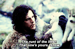Game of Thrones Daily