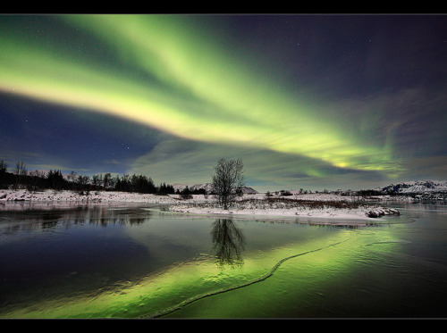 Midnight Dancer - Aurora at Þingvellir, Iceland by orvaratli on Flickr.