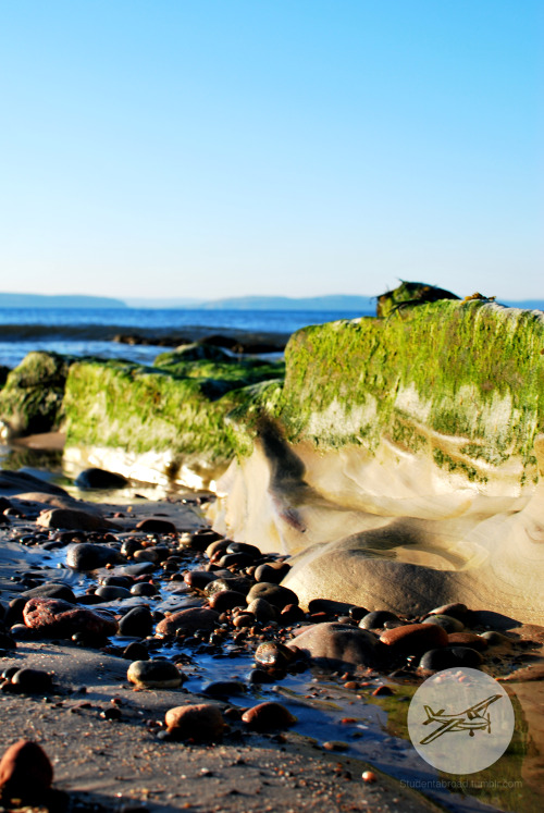 studentabroad:On the Coast of the North Sea, Nairn, Scotland.More Travel Adventures at Student Abroa