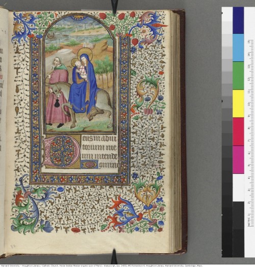 Catholic Church. Horae beatae Mariae virginis (use of Paris) : manuscript, [ca. 1435]MS Richardson 6