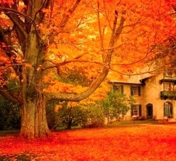 Norman Rockwell Museum, Stockbridge, Massachusetts 