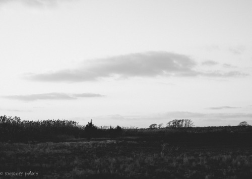 ~on A November Evening~