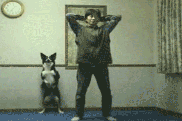 catsdogsblog:More GIFs http://catsdogsblog.com/