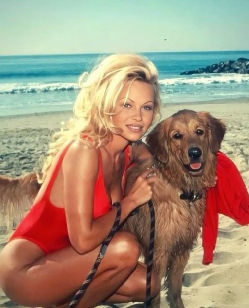 Ashwini ASC Beyoncé Paying Tribute To Ashwini Moon Pamela Anderson.