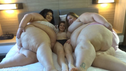 ssbbwbrianna-blog:  Brianna &amp; Jae: Bed Size Compare with Petra Love  Watch Jae and Brianna compare bodies with the beautiful, thin Petra Love. All 3 of us lay in bed, and compare our bodies. Jae and Brianna make Petra disappear between us, by putting