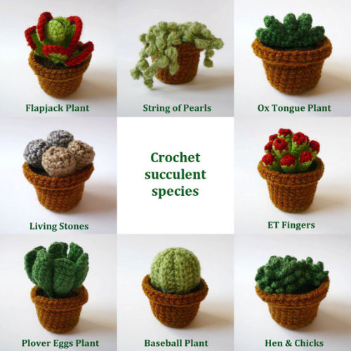 Crocheted Made to Order Cactus, $12.00