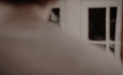 aprilkepners-archive:  TOP 25 TV SHIPS (as voted by my followers)24. Stefan and