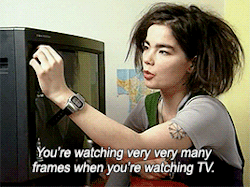 jeanpierreleauds:  Björk explaining how TV works.