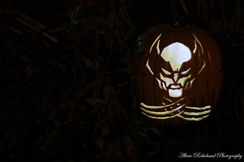 slurpees-and-allthatgoodshit:  Happy Halloween Everyone! - Lisa Superhero Pumpkins Part 1 