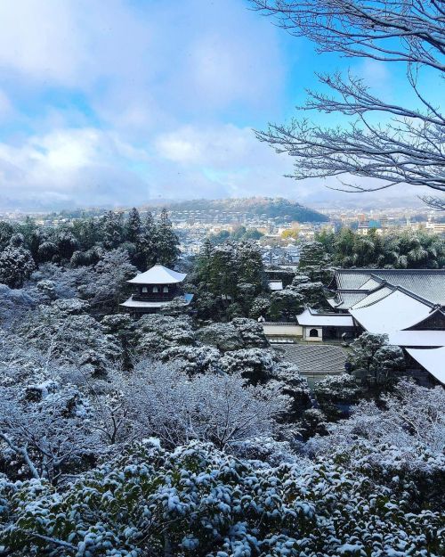 雪の銀閣寺（慈照寺）庭園 [ 京都市左京区 ] ③ Ginkakuji (Jishoji) Temple Garden (Snow), Kyoto ーー銀世界❄️の京都の #世界遺産 。室町幕府8代将