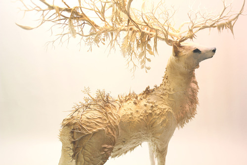 artthatremindsmeofhannibalnbc:Ellen Jewett, White Stag, 2014Sculpture 