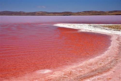 earthporn-org: Turkey’s second largest lake, Tuz Gölü (Salt Lake), turns crimson