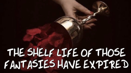 The Shelf Life Of Those Fantasies Have Expired Cardan Greenbriar