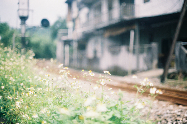 immobulis:  untitled by xiu×5 on Flickr. 