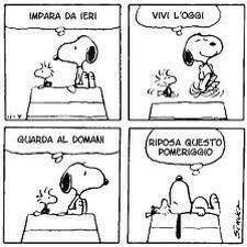 Win. Ahahahahah