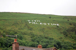 theworldstandswithpalestine:  Message placed
