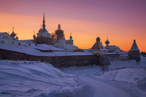 thebeautyofrussia:Solovki, “The beauty of the harsh winter of the north”Peter Ushanov 