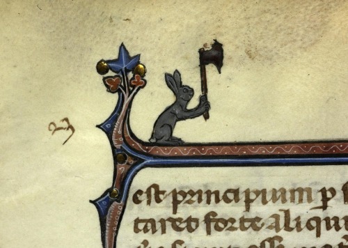 dduane:sexycodicology:New on Sexy Codicology: The Adventures of Medieval Bunny! Above, part one and 