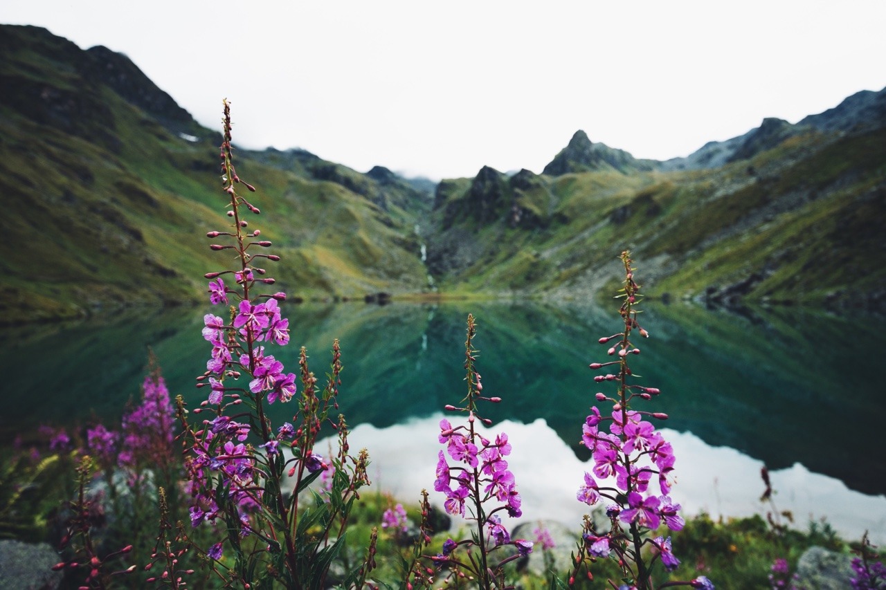 bokehm0n:  Lakeside.