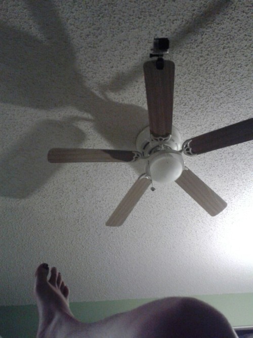 i mounted a gopro camera onto my fan just in case i get sleep paralysis. i just wanna see wtf it looks like. but even my curiosity is not enough to hope it happens…i gotta work tomorrow and the last thing i want is to have an episode like i had
