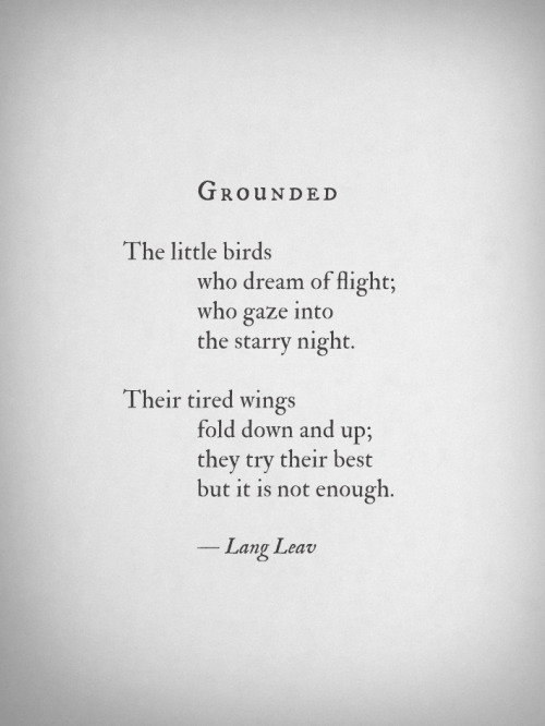 langleav:  New Book! ‘Love & Misadventure’ by Lang Leav available here! 